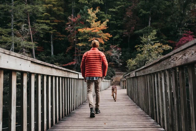 Promener son chien, douleurs aux pieds: tout ce qu'il faut savoir